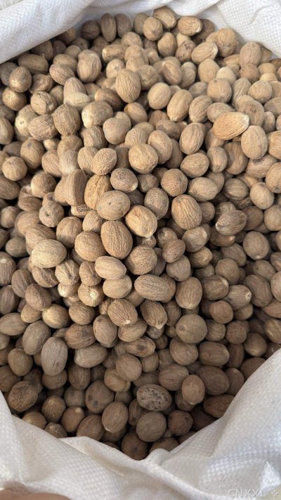 spice_362_90fa0615_3.jpg