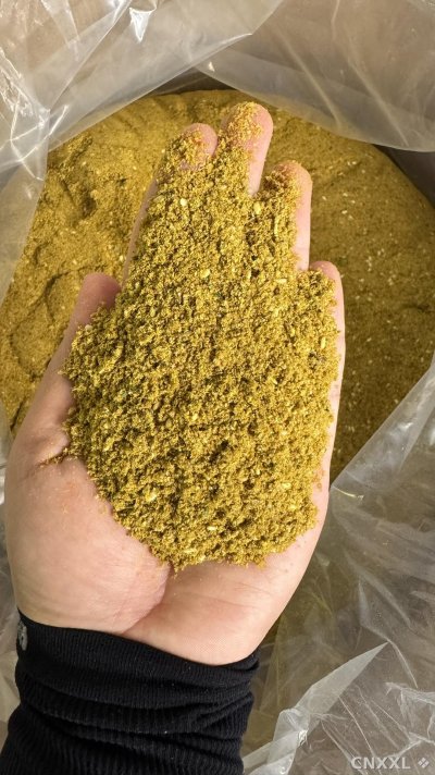 spice_371_b6dbcebf_1.jpg