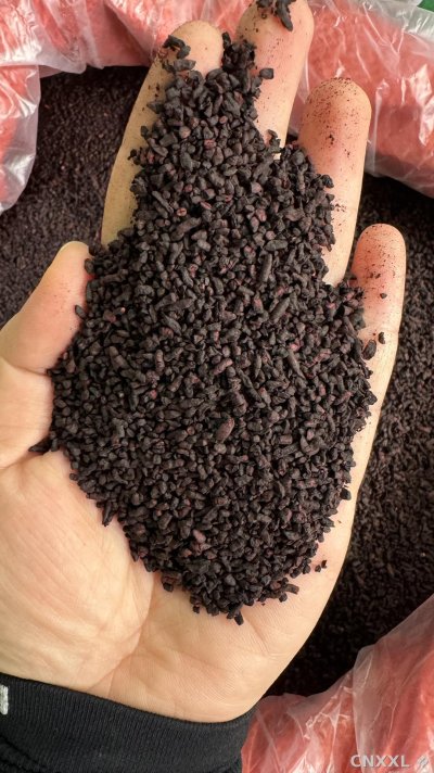spice_374_4eee3caa_2.jpg
