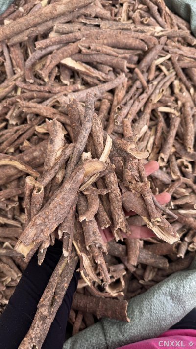 spice_376_2a81c68f_2.jpg