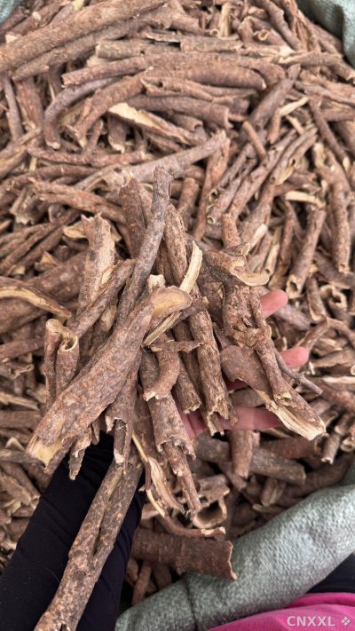 spice_376_b445be53_1.jpg