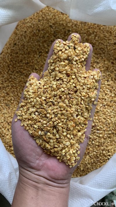 spice_377_f10ec4f4_1.jpg