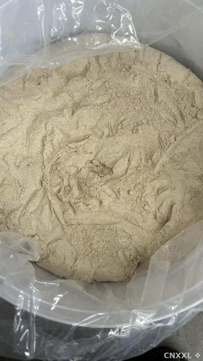 spice_387_690e5204_2.jpg