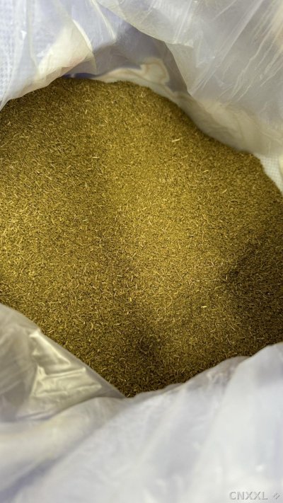 spice_392_f2cf667a_2.jpg