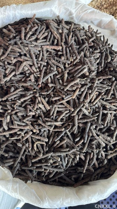 spice_3_1e0407cb_3.jpg