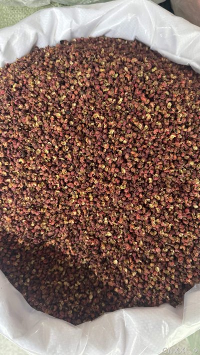 spice_44_87af9f05_3.jpg