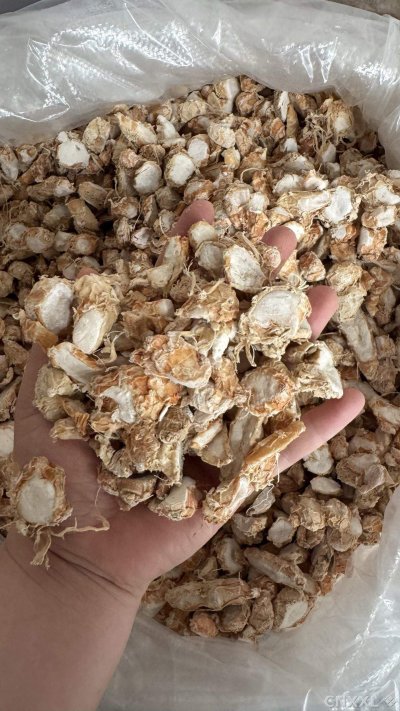spice_464_4d9cc488_2.jpg