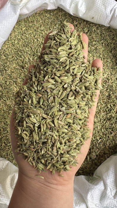 spice_48_0d2f4a0e_2.jpg
