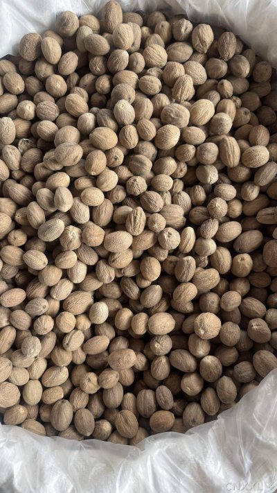 spice_4_b3e20a0b_2.jpg
