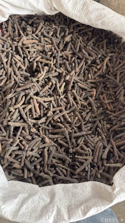 spice_53_7aba841d_3.jpg
