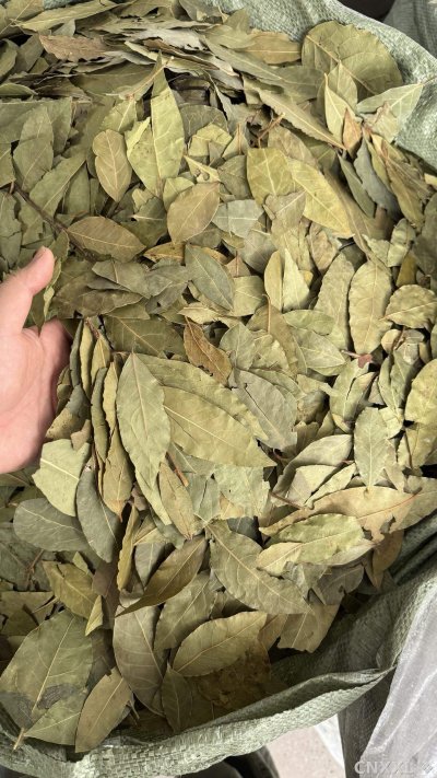 spice_54_aeed3da1_2.jpg