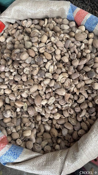 spice_57_1ee71841_3.jpg