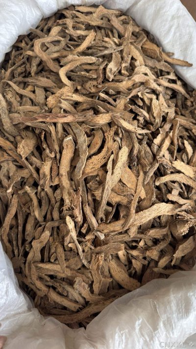 spice_58_d29d5166_3.jpg