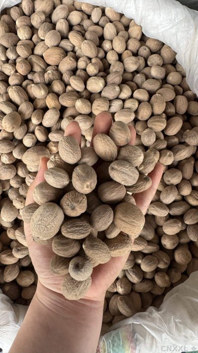 spice_5_c0107982_1.jpg