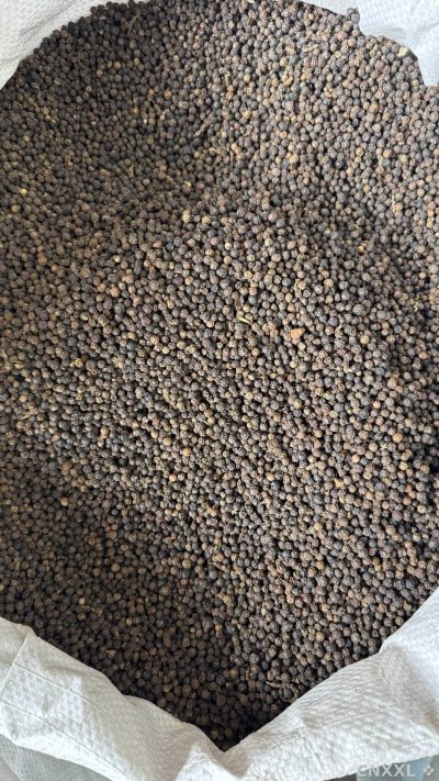 spice_61_f4bf5ae4_3.jpg