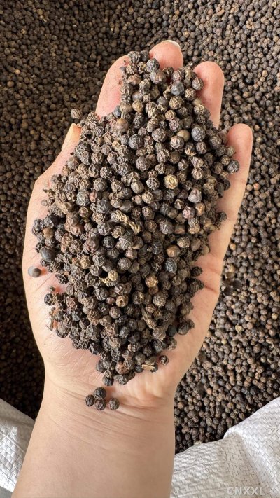 spice_61_fbca57d4_2.jpg