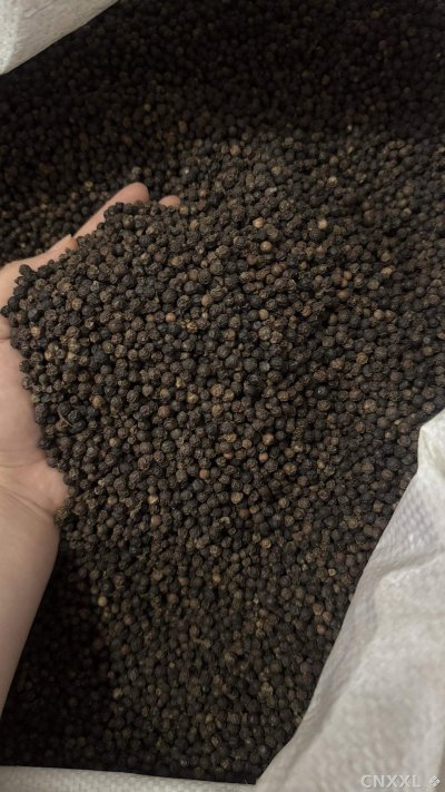 spice_62_85e5c000_3.jpg