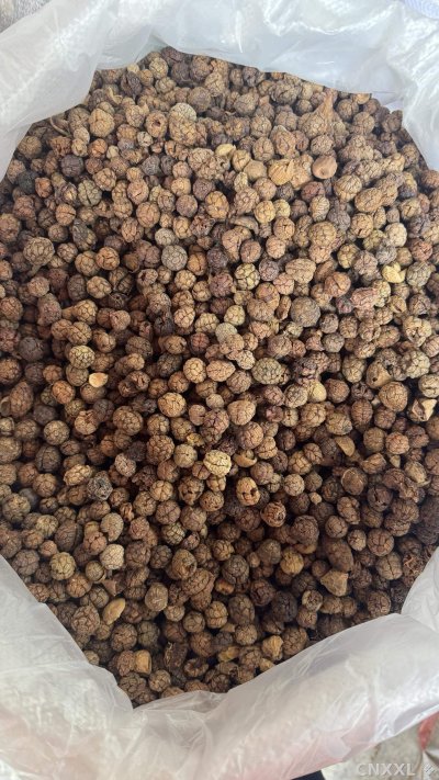 spice_64_5327c731_3.jpg