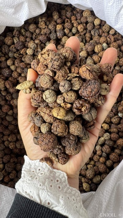 spice_66_69930393_1.jpg