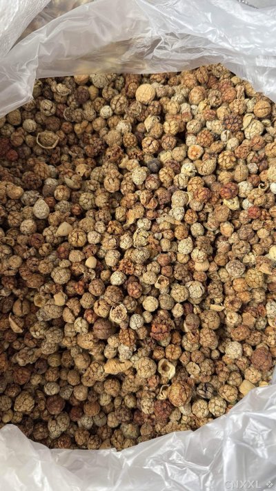 spice_67_0a1afb2b_3.jpg