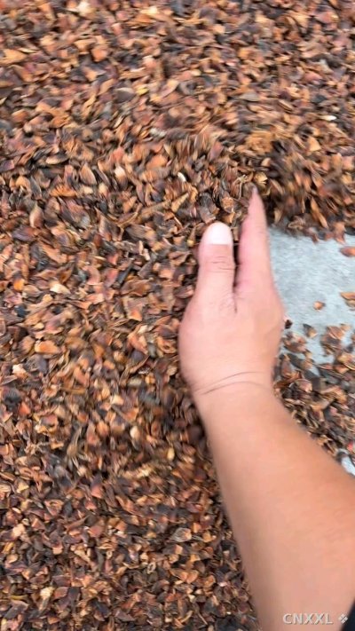 spice_69_4108e675_1.jpg