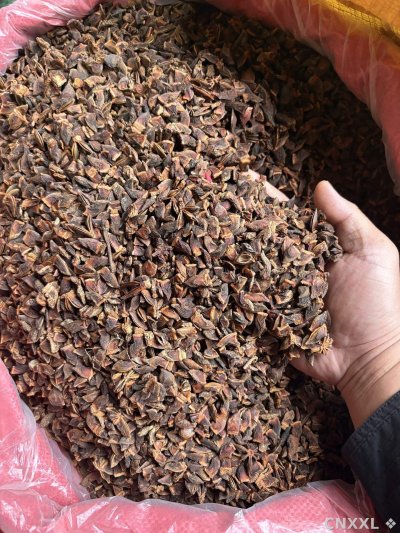 spice_72_1d7de40b_3.jpg
