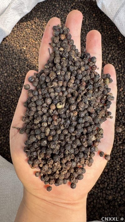spice_739_7f11292b_1.jpg