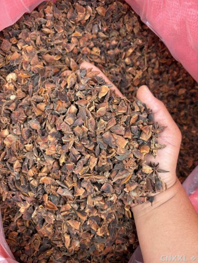 spice_75_82edbb4f_2.jpg