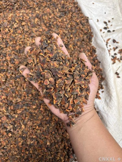 spice_76_ab029950_1.jpg