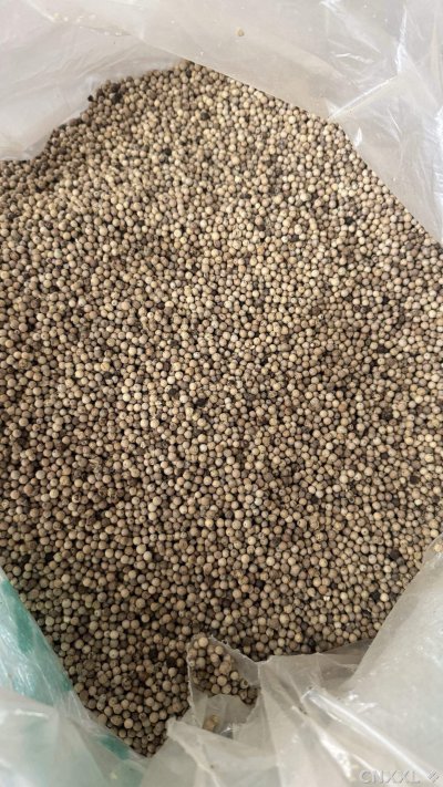 spice_8358_2efab131_3.jpg