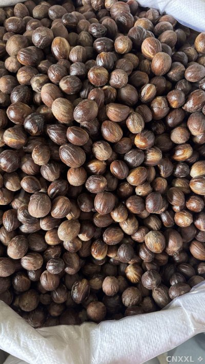 spice_8437_cbeb497d_2.jpg