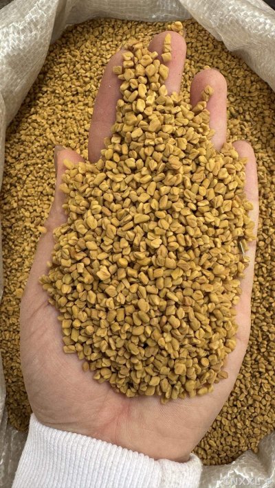 spice_8711_1c7e32e6_1.jpg