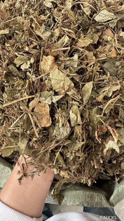 spice_87_f5f3b0ef_3.jpg