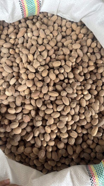 spice_8_3032462a_3.jpg