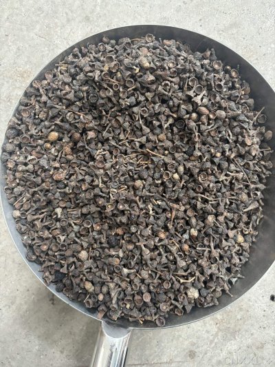 spice_9000_ffe6bf0b_3.jpg