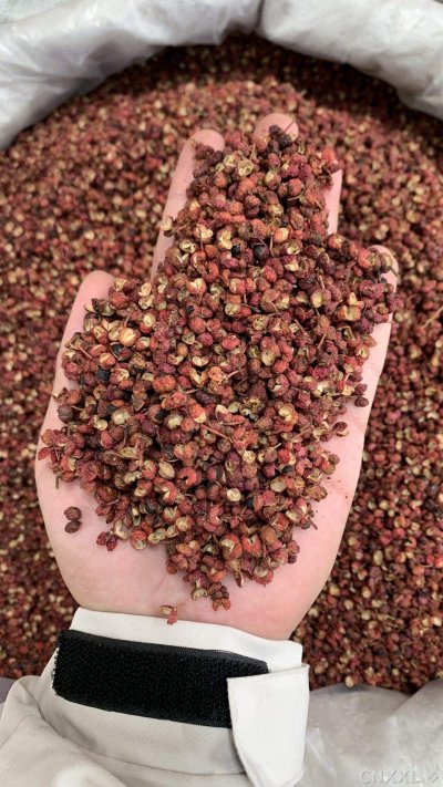 spice_978_389ffb32_1.jpg