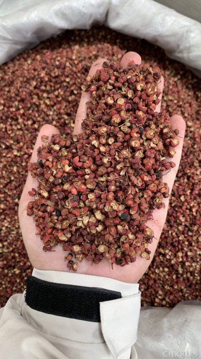 spice_978_4f3ca2ac_3.jpg