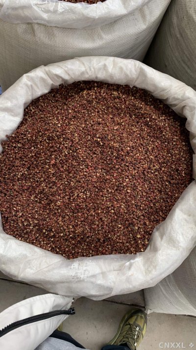 spice_979_f92d8290_3.jpg