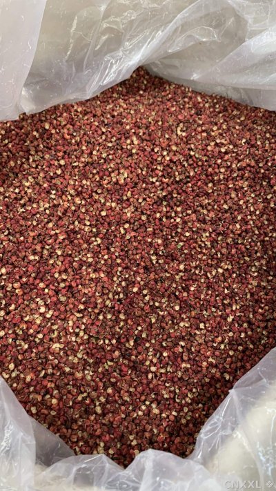 spice_982_166459ce_3.jpg