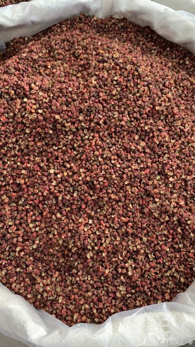 spice_984_1f3aaa10_3.jpg