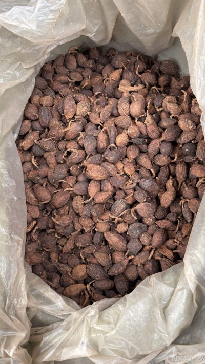 spice_987_2f48b8ca_2.jpg