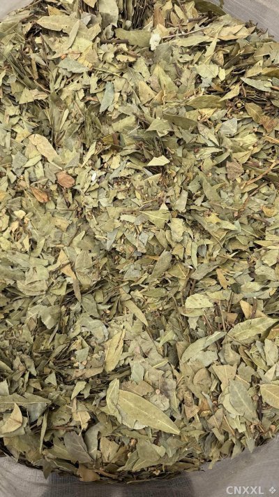spice_10068_10463b30_2.jpg