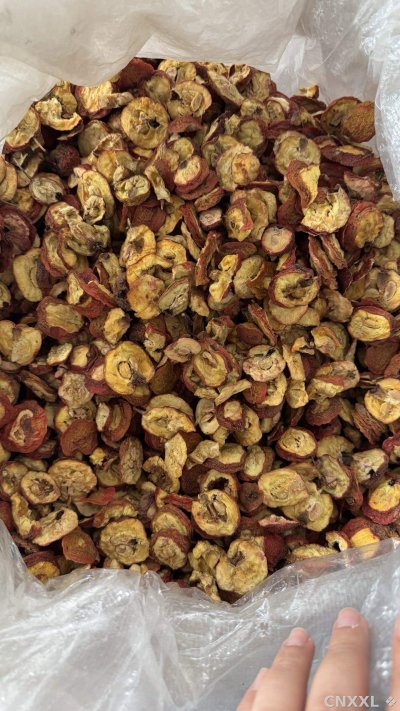 spice_10104_6d0940db_3.jpg