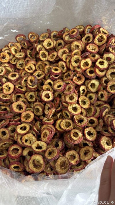 spice_10106_762554c7_3.jpg