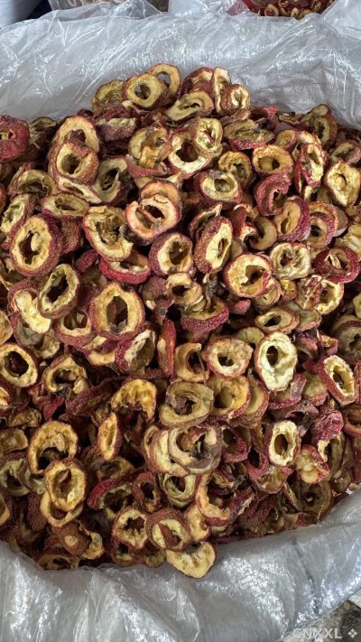 spice_10108_7fd8e1ab_3.jpg