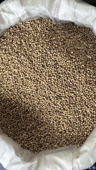 spice_10111_6cfdba2d_3.jpg