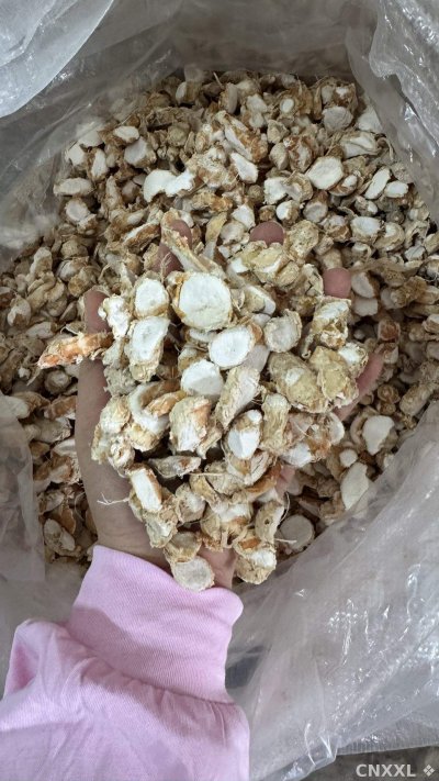 spice_10117_1f4d1cac_2.jpg
