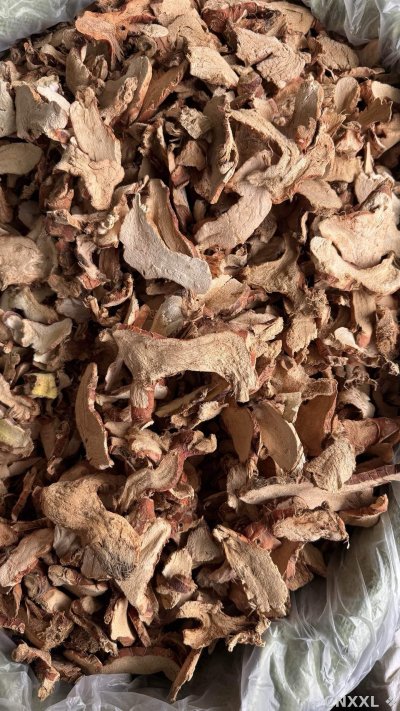 spice_10148_bc55a2e6_3.jpg