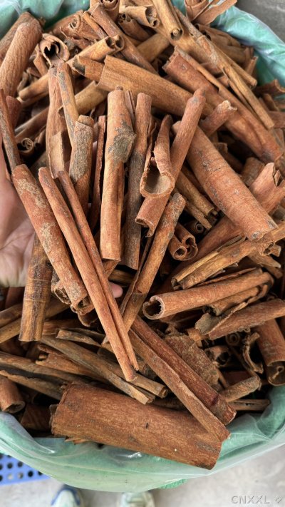 spice_10149_1da4ade9_2.jpg