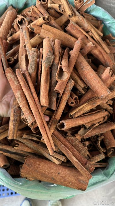 spice_10149_f45e57e8_1.jpg